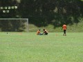Tn dsc 0984